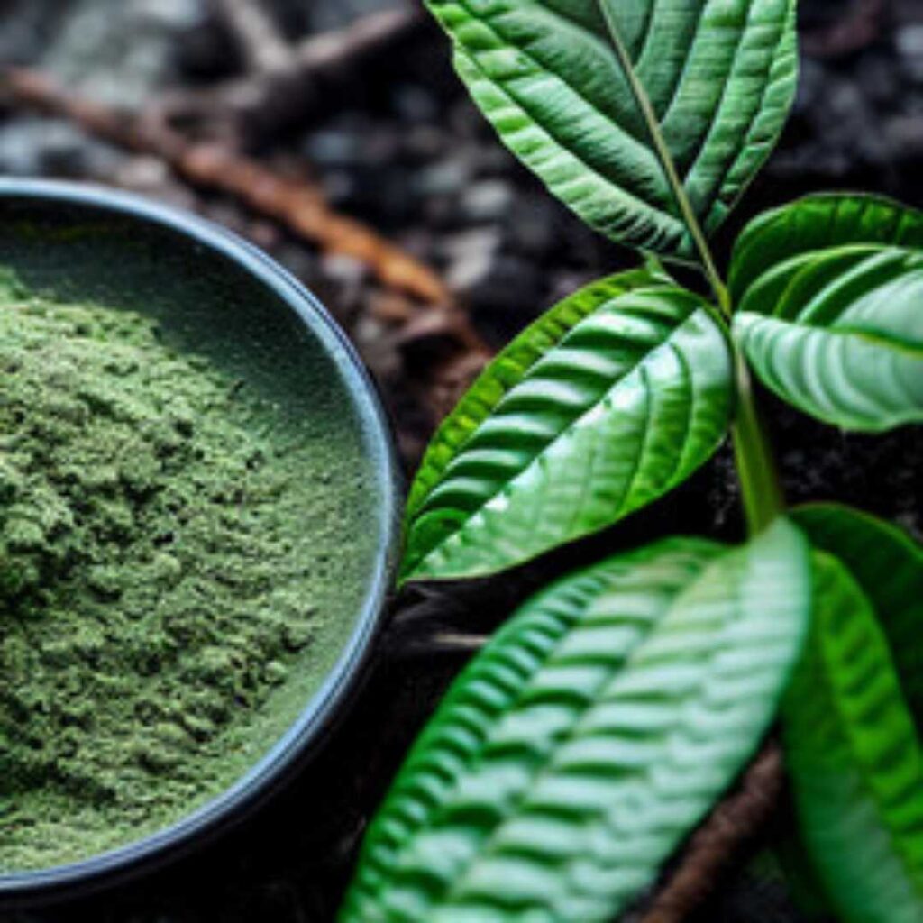 gold thai kratom